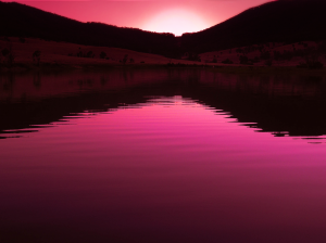 Pink Sunset       