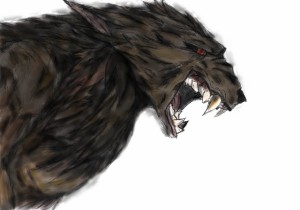 Drawn to Life Werewolf       