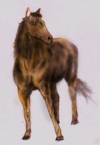 Drawn to Life Horse       